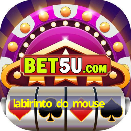 labirinto do mouse